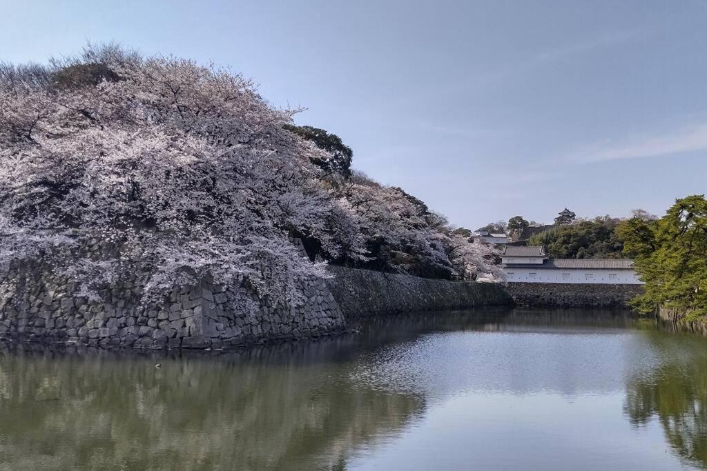 Villa Hikone Castle Eksteriør bilde
